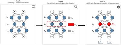 Lowering the computational barrier: Partially Bayesian neural networks for transparency in medical imaging AI